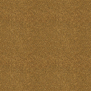 Apache Mostaza by Gaston Y Daniela Designer Fabric