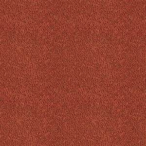 Apache Teja by Gaston Y Daniela Designer Fabric