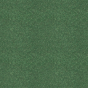 Apache Verde by Gaston Y Daniela Designer Fabric