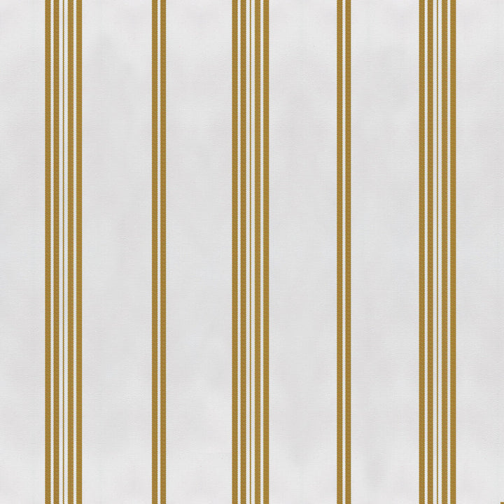 Gaston Y Daniela Upholstery GDT5673.001.0 Upholstery COTTON - 100% Italy </p><p>Repeat: H: , V: 27.5 21 - My Fabric Connection -