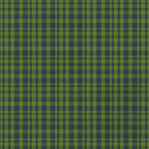 Drach Verde/Azul GDT5675.008.0 by Gaston Y Daniela Fabric