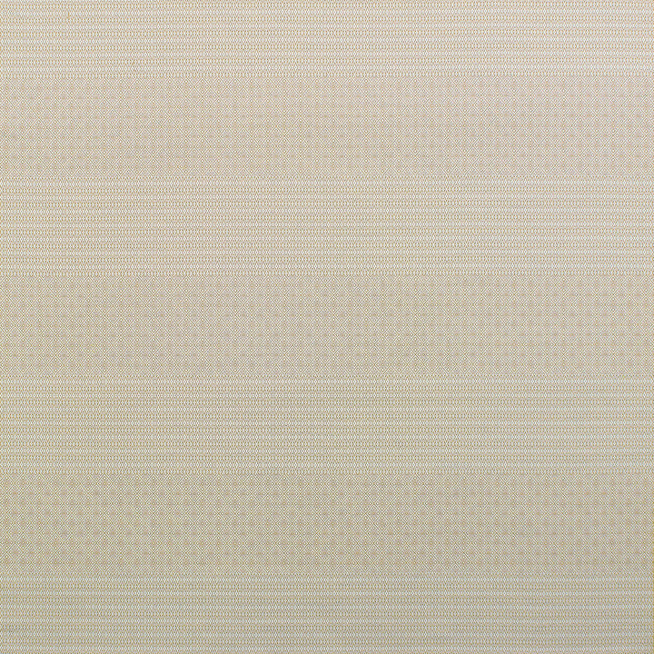 Gaston Y Daniela Upholstery GDT5697.002.0 Upholstery POLYOLEFIN FR - 100% Italy </p><p>Repeat: H: , V: 27.5 21 - My Fabric Connection -