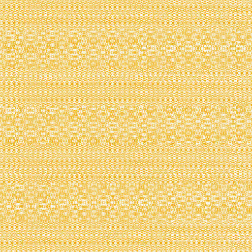Gaston Y Daniela Upholstery GDT5697.003.0 Upholstery POLYOLEFIN FR - 100% Italy </p><p>Repeat: H: , V: 27.5 21 - My Fabric Connection -