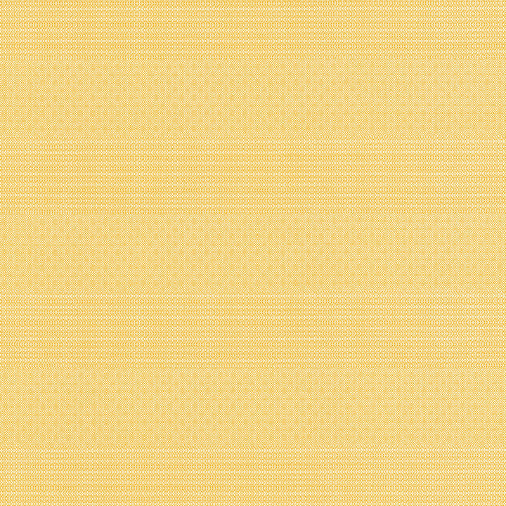 Gaston Y Daniela Upholstery GDT5697.003.0 Upholstery POLYOLEFIN FR - 100% Italy </p><p>Repeat: H: , V: 27.5 21 - My Fabric Connection -