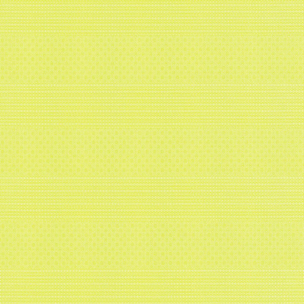 Gaston Y Daniela Upholstery GDT5697.004.0 Upholstery POLYOLEFIN FR - 100% Italy </p><p>Repeat: H: , V: 27.5 21 - My Fabric Connection -