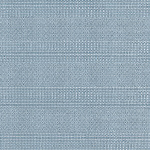 Kailas Azul Claro GDT5697.005.0 by Gaston Y Daniela Fabric