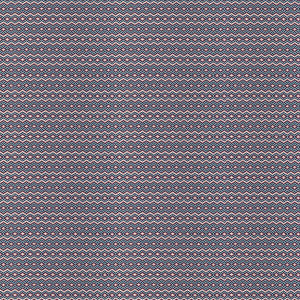 Caucaso Navy Fresa GDT5719.004.0 by Gaston Y Daniela Fabric