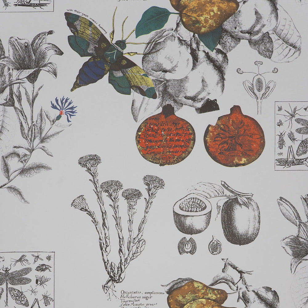 Gaston Y Daniela Wallcovering GDW4848.001.0 Wallcovering PAPER - 100% Spain </p><p>Repeat: H: , V: 27.5 21 - My Fabric Connection -