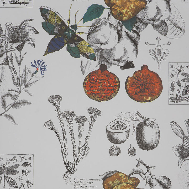 Gaston Y Daniela Wallcovering GDW4848.001.0 Wallcovering PAPER - 100% Spain </p><p>Repeat: H: , V: 27.5 21 - My Fabric Connection -