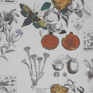 Linneo Original GDW4848.001.0 by Gaston Y Daniela Wallcovering