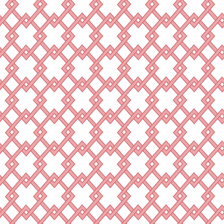 Bound Rosa by Gaston Y Daniela Designer Wallcovering GASTON LIBRERIA PAPER - 100% Spain Horizontal: 0 and Vertical: 2.9 20.8 - Swanky Fabrics -