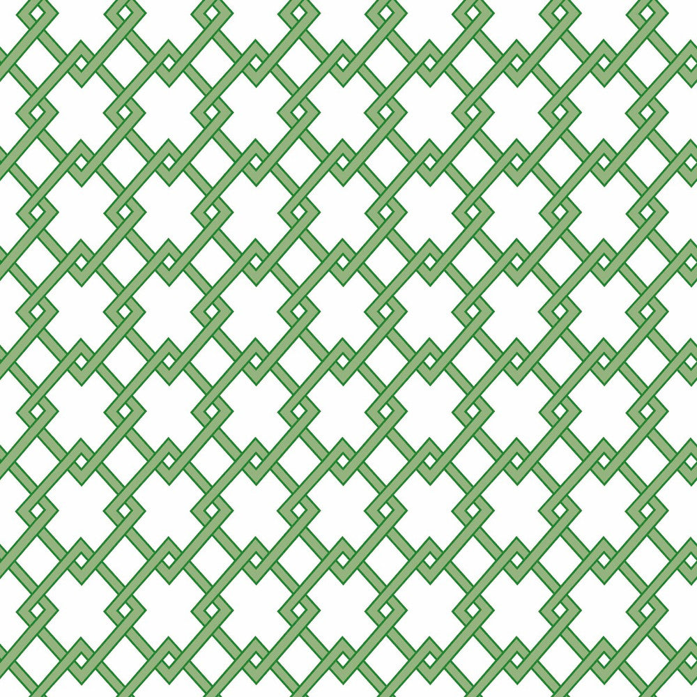 Bound Verde by Gaston Y Daniela Designer Wallcovering GASTON LIBRERIA PAPER - 100% Spain - Horizontal: 0 and Vertical: 2.9 20.8 - Swanky Fabrics -