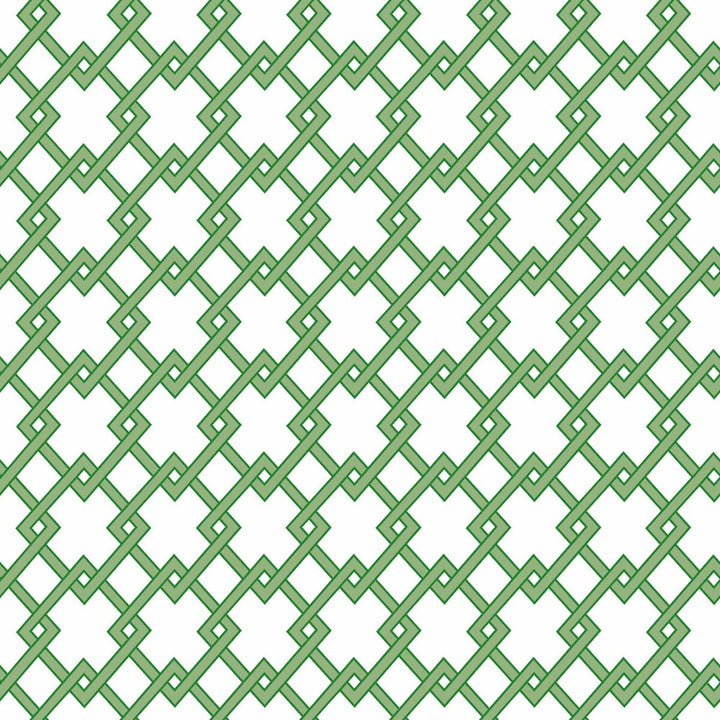 Bound Verde by Gaston Y Daniela Designer Wallcovering GASTON LIBRERIA PAPER - 100% Spain Horizontal: 0 and Vertical: 2.9 20.8 - Swanky Fabrics -