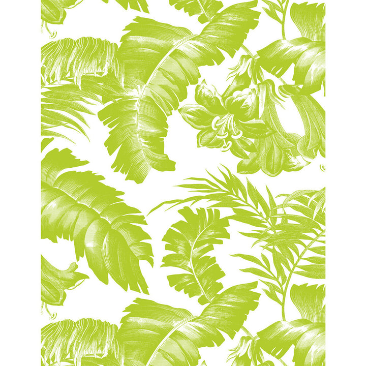 Plantation Verde by Gaston Y Daniela Designer Wallcovering GASTON LIBRERIA VINYL - 100% Italy - Horizontal: 0 and Vertical: 27.5 27.5 - Swanky Fabrics -