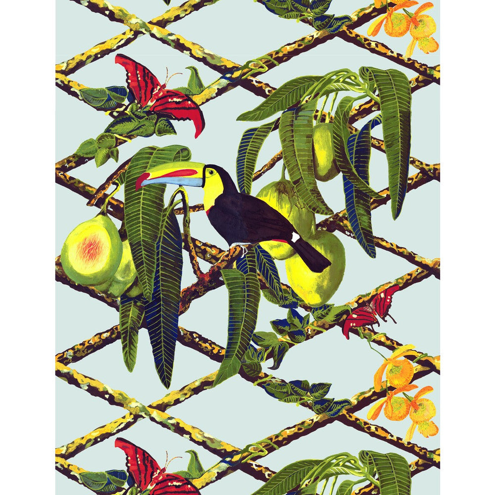 Tucan Original by Gaston Y Daniela Wallcovering Gaston Y Daniela Wallcovering Tucan OriginalWallcovering GASTON LIBRERIA VINYL - 100% Italy </p><p>Repeat: H: 0, V: 27.5 27.5 - Fabric Carolina -