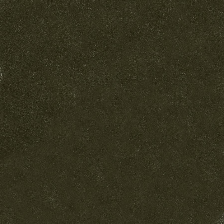 Glaze # 102 Cactus by Maxwell Designer Fabric Vinyls V - Contract 100% PVC BACKING-POLY/COTTON TAIWAN 54" - Swanky Fabrics -