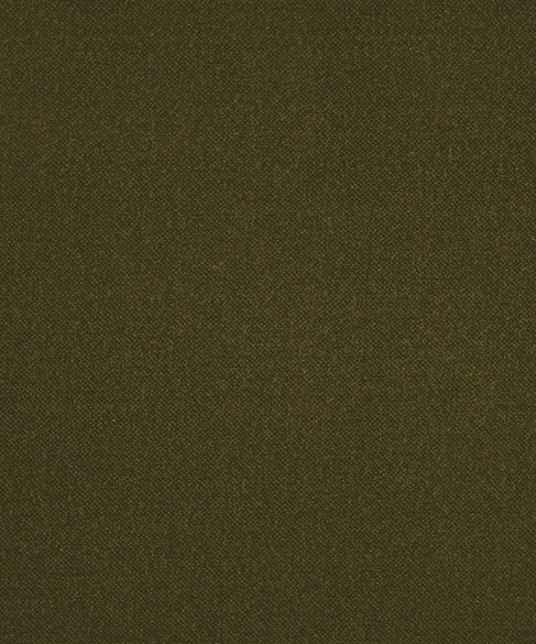 Genesis 42107 by Barrow Industries Designer Fabric
