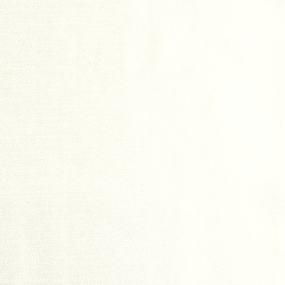 Genoa 1 Ice by Stout Designer Fabric COLOR MY WINDOW NEUTRAL/MICA 100%POL INDIA Horizontal: 0.000 and Vertical: 0.000 54 in - Swanky Fabrics -
