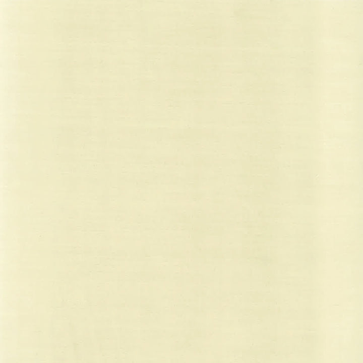 Genoa 2 Driftwood by Stout Designer Fabric COLOR MY WINDOW NEUTRAL/MICA 100%POL INDIA Horizontal: 0.000 and Vertical: 0.000 54 in - Swanky Fabrics -