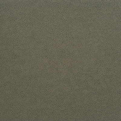 Genslar-21 by Kravet Design Designer Fabric ULTRALEATHER PLUS IV POLYURETHANE - 100% Japan HEAVY Horizontal: 0 and Vertical: 0 54 - Swanky Fabrics -
