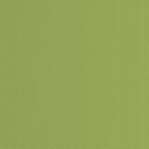 Georgia Kiwi by Norbar Designer Fabric SUNSHINE 100% HIGH UV POLYESTER USA 56 - Swanky Fabrics -