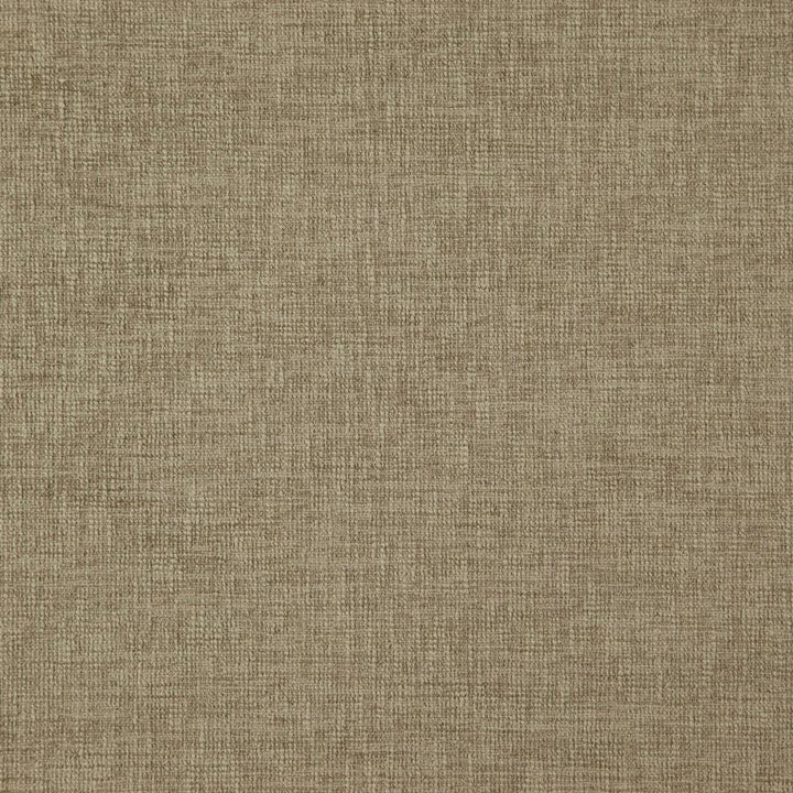 Grenoble # 30 Stucco by Maxwell Designer Fabric Weave Works V 50% POLYESTER/50% COTTON INDIA 55" - Swanky Fabrics -