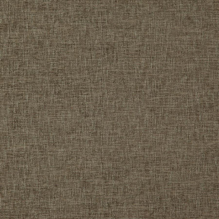 Grenoble # 35 Gargoyle by Maxwell Designer Fabric Weave Works V 50% POLYESTER/50% COTTON INDIA 55" - Swanky Fabrics -