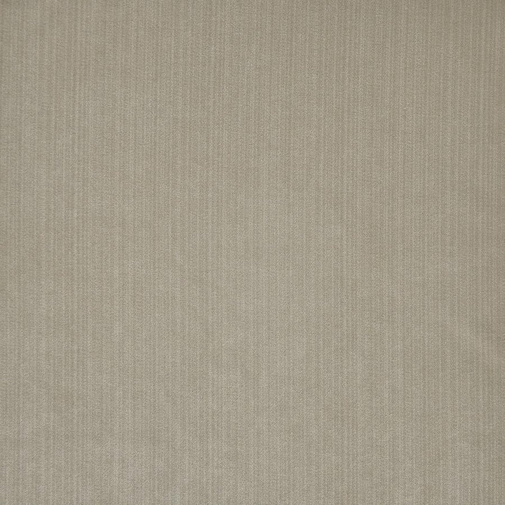 Geraldine # 773 Pewter by Maxwell Designer Fabric Velvet Room 93% POLYESTER/7% RAYON SOUTH KOREA H-4.5" 55" - Swanky Fabrics -
