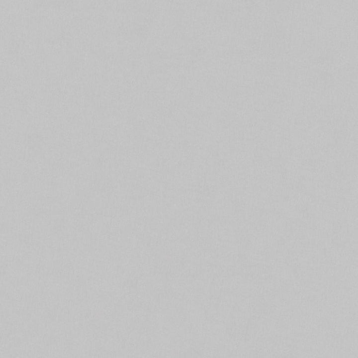 Glisseo # 118 Iron by Maxwell Designer Fabric Sheer Basics 100% POLYESTER TURKEY 118" - Swanky Fabrics -