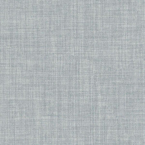 Galileo # 211 Mouse by Maxwell Designer Fabric
