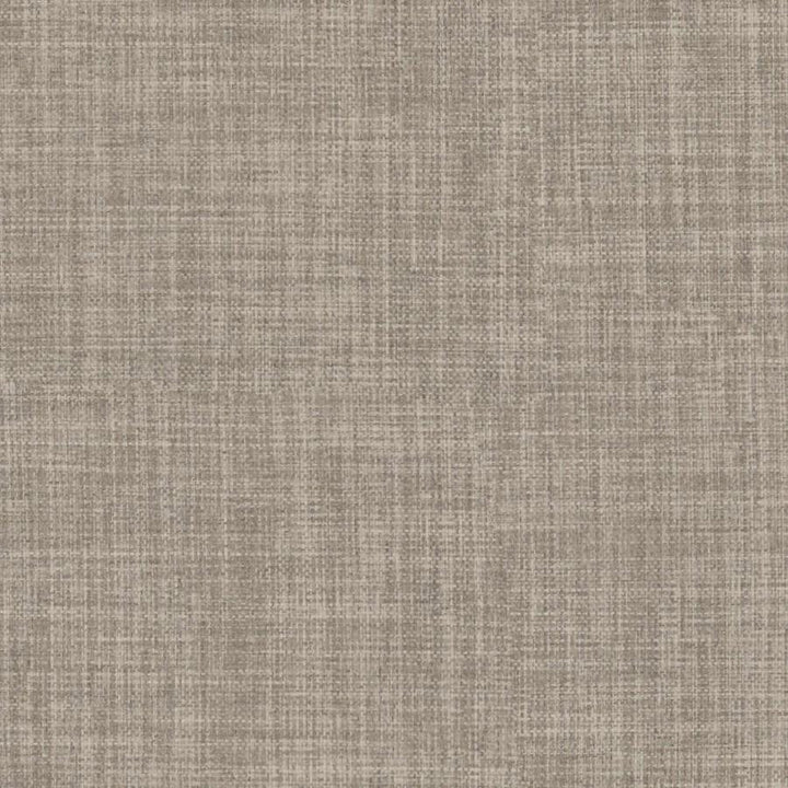 Galileo # 220 Mushroom by Maxwell Designer Fabric Blackout Ii FACE: 100% POLYESTER
BACKING: 100% ACRYLIC CHINA 55" - Swanky Fabrics -