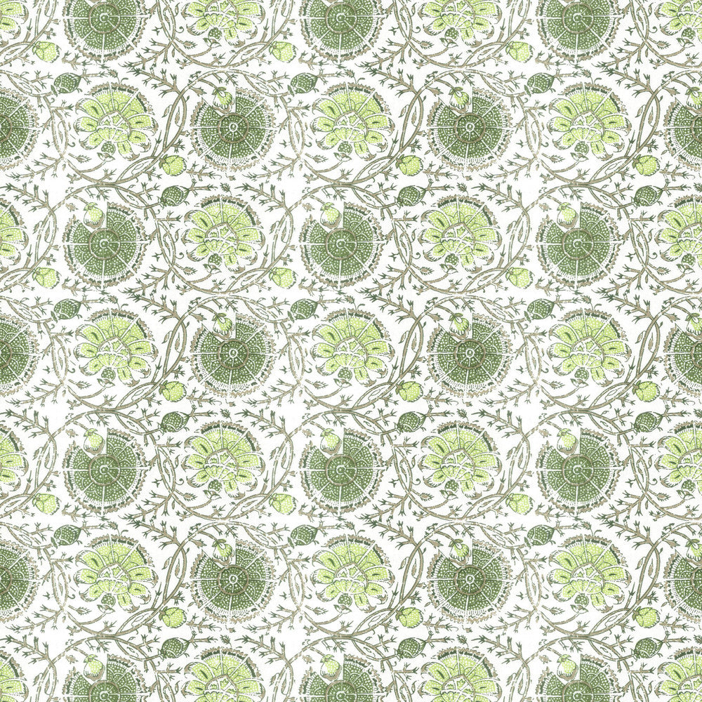 Gibertini 3 Apple by Stout Fabric Stout Fabric Gibertini 3 AppleFabric RAINBOW LIBRARY SPRING/EVERGREEN 100%COT INDIA </p><p>Repeat: H: 9.000, V: 8.500 56 in - Fabric Carolina -