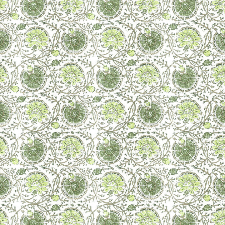 Gibertini 3 Apple by Stout Fabric Stout Fabric Gibertini 3 AppleFabric RAINBOW LIBRARY SPRING/EVERGREEN 100%COT INDIA </p><p>Repeat: H: 9.000, V: 8.500 56 in - Fabric Carolina -