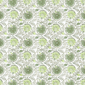 Gibertini 3 Apple by Stout Designer Fabric