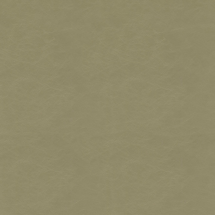 Dew Drop 6006 Mushroom by GUARDIAN Designer Fabric 100% Polyvinyl Chloride (PVC) CN 1,500,000 Double Rubs (Wyzenbeek) </p><p>Repeat: Horizontal: and Vertical: 54 in. (137 cm) - Swanky Fabrics -
