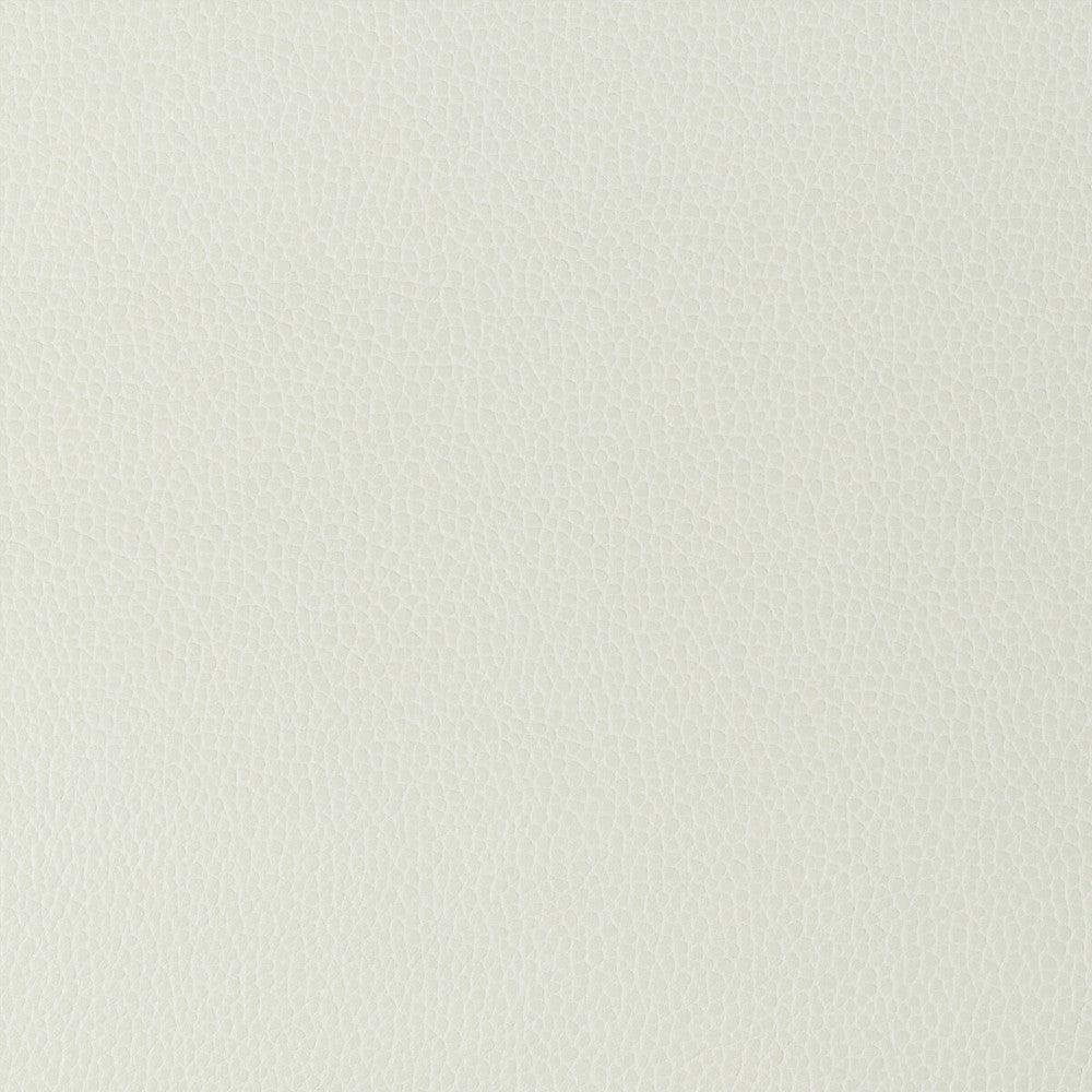 Gillian-101 by Kravet Design Designer Fabric POLYURETHANE - 100% Japan HEAVY Horizontal: 0 and Vertical: 0 54 - Swanky Fabrics -