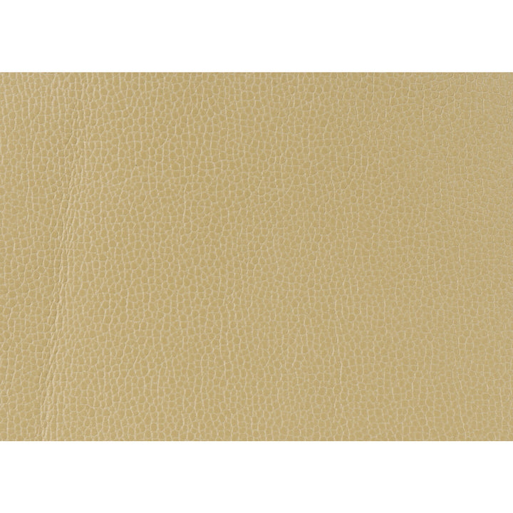 Kravet Design Gillian-1111 by Kravet Design Fabric Kravet Design Fabric Kravet Design Gillian-1111Fabric POLYURETHANE - 100% Japan </p><p>Repeat: H: 0, V: 0 54 - Fabric Carolina -