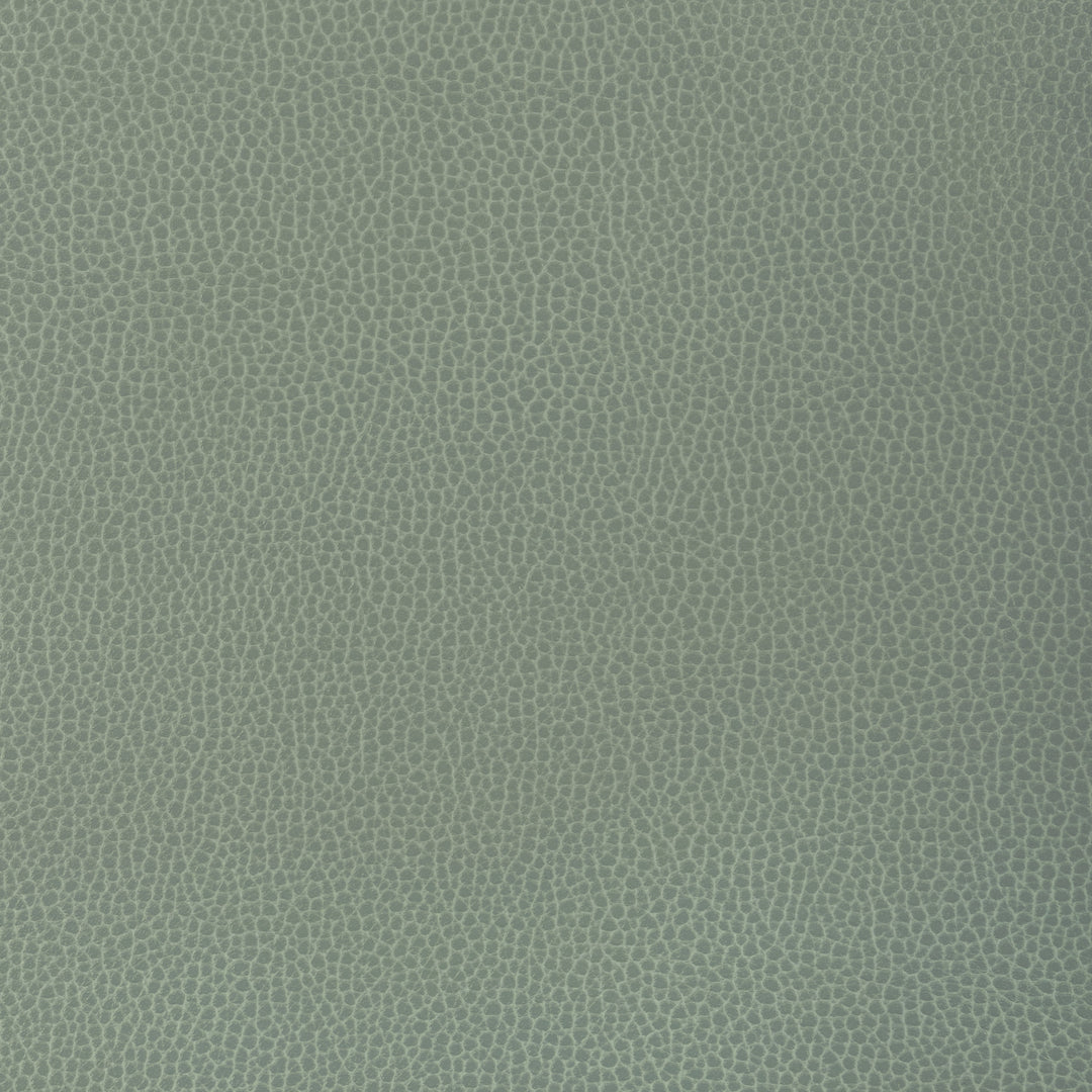 Kravet Design - Gillian-1313 GILLIAN.1313.0 by Kravet Design Designer Fabric