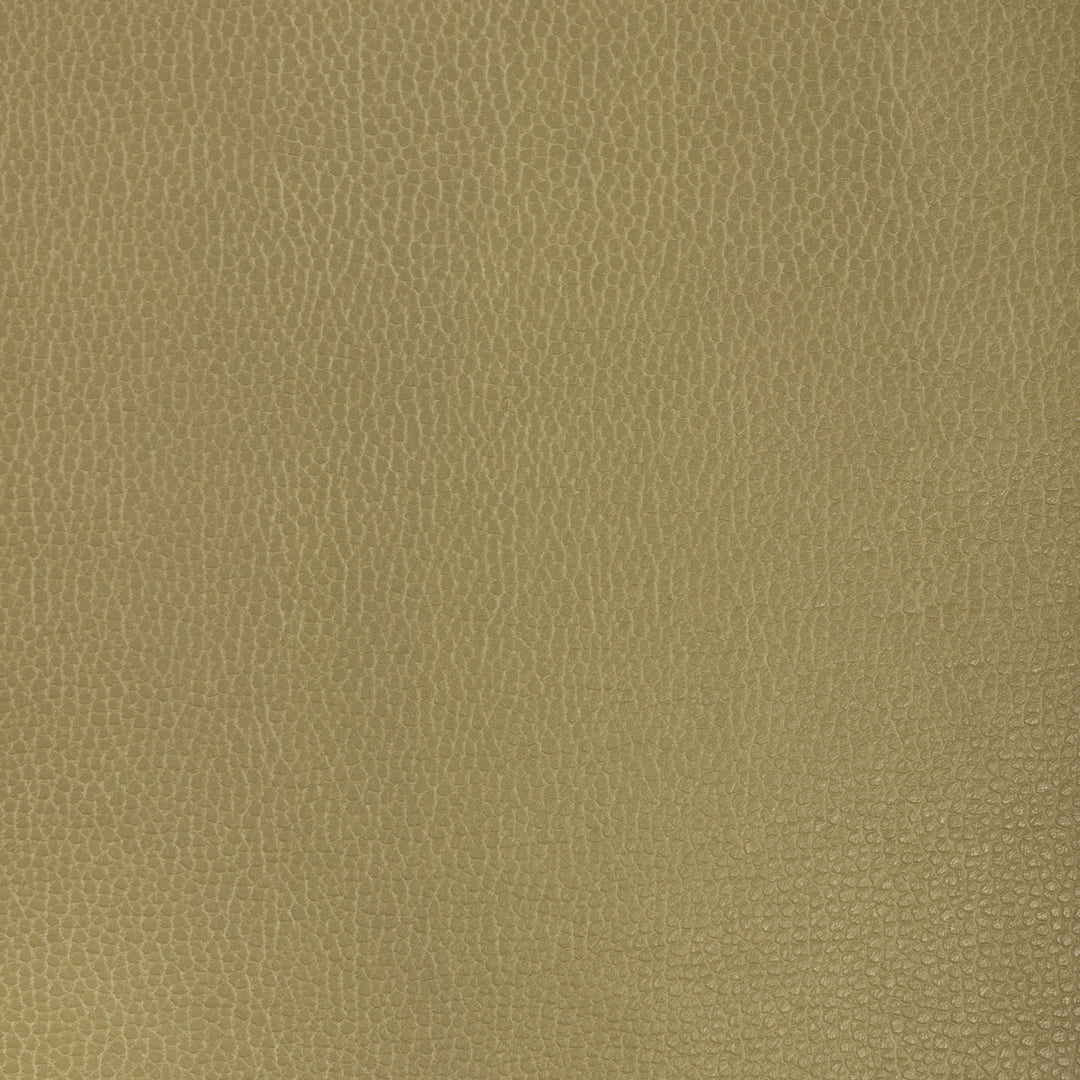 Kravet Design - Gillian-23 GILLIAN.23.0 by Kravet Design Designer Fabric