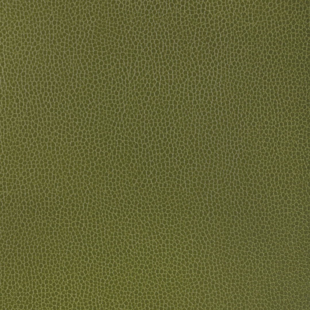 Kravet Design - Gillian-33 GILLIAN.33.0 by Kravet Design Designer Fabric