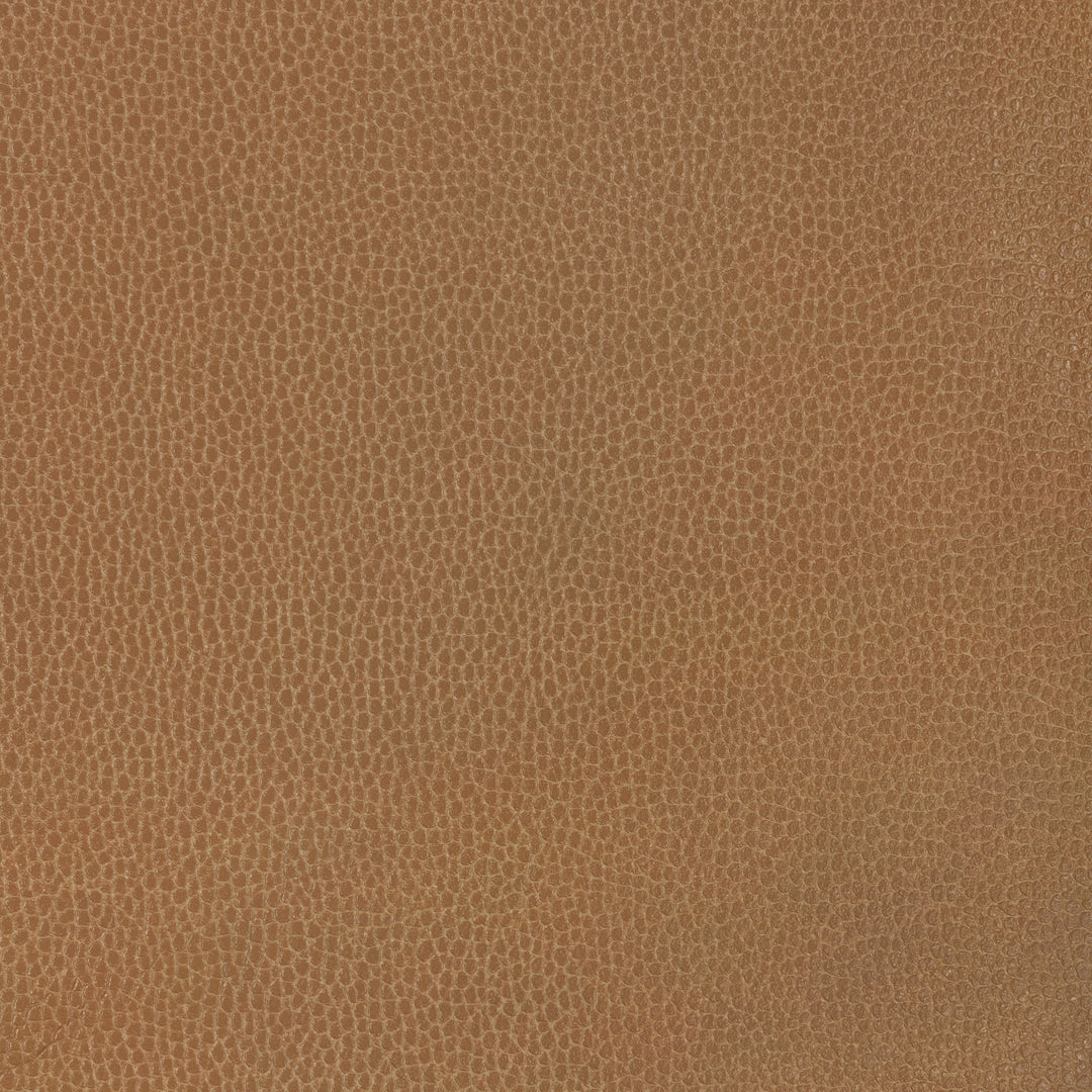 Kravet Design - Gillian-6116 GILLIAN.6116.0 by Kravet Design Designer Fabric
