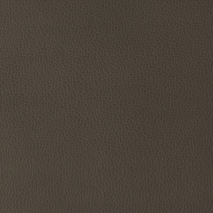 Gillian-6666 by Kravet Design Designer Fabric POLYURETHANE - 100% Japan HEAVY Horizontal: 0 and Vertical: 0 54 - Swanky Fabrics -