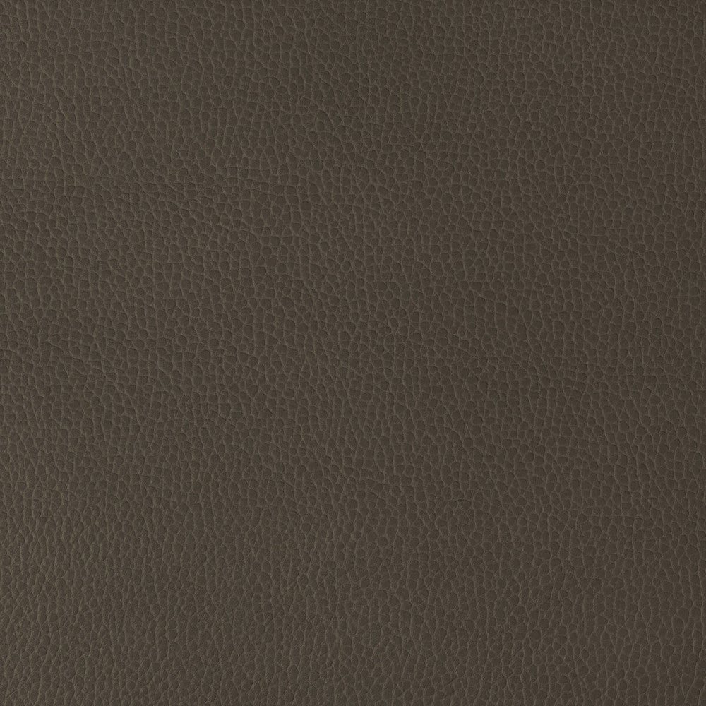 Gillian-6666 by Kravet Design Designer Fabric POLYURETHANE - 100% Japan HEAVY Horizontal: 0 and Vertical: 0 54 - Swanky Fabrics -
