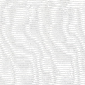 Glyph-Nj # 1024 Zen by Maxwell Designer Fabric