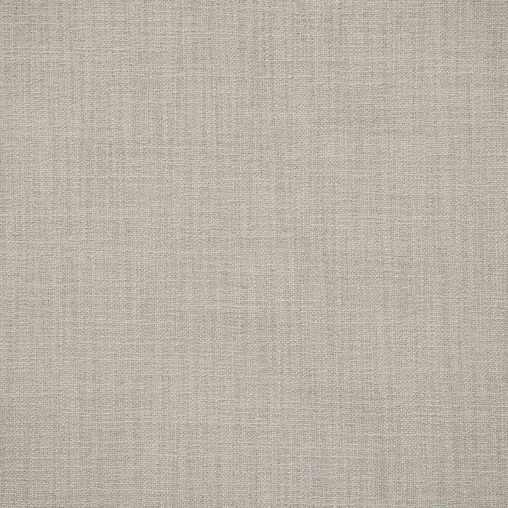 Giorgio # 123 Ash by Maxwell Designer Fabric Wide Width Basics Ii 100% RECYCLED POLYESTER INDIA 118" - Swanky Fabrics -