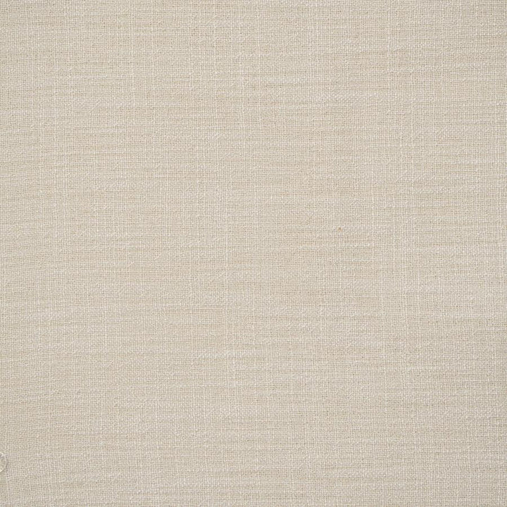 Giorgio # 129 Antique by Maxwell Designer Fabric Wide Width Basics Ii 100% RECYCLED POLYESTER INDIA 118" - Swanky Fabrics -