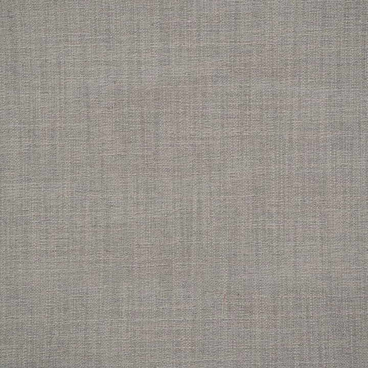 Giorgio # 138 Mouse by Maxwell Designer Fabric Wide Width Basics Ii 100% RECYCLED POLYESTER INDIA 118" - Swanky Fabrics -