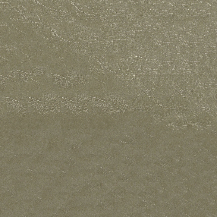 Glaze 107 Pumice by ABBEYSHEA Designer Fabric 100% Polyvinyl Chloride (PVC) China 100,000 Double Rubs (Wyzenbeek) </p><p>Repeat: Horizontal: and Vertical: 54" (137 cm) - Swanky Fabrics -