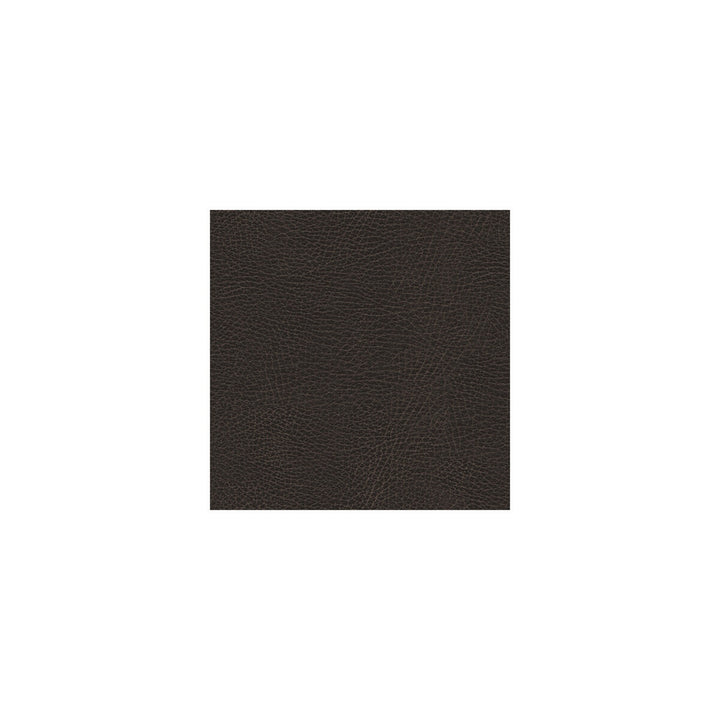 Glendale-666 by Kravet Design Designer Fabric ULTRALEATHER PLUS IV POLYURETHANE - 100% Japan HEAVY Horizontal: 4.72 and Vertical: 7.87 54 - Swanky Fabrics -