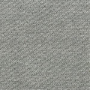 Globe 1 Grey by Sunbrella Designer Fabric